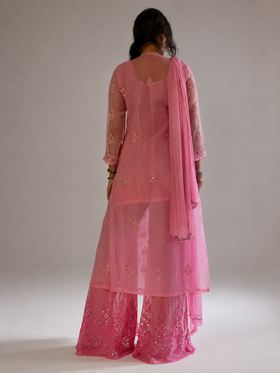 A woman shown from the back wearing a pink traditional outfit with a sheer long kurta, matching wide-leg pants, and a draped dupatta, photographed against a plain light gray studio background.